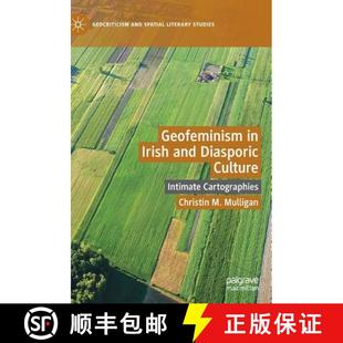 Cartographies 4周達 Irish Diasporic and Geofeminism 9783030192143 Culture Intimate