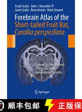 预订 Forebrain Atlas of the Short-Tailed Fruit Bat, Carollia Perspicillata: Prepared by the Methods o... [9781461470878]