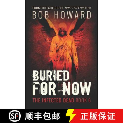 【3-4周达】Buried for Now [9781945754357]