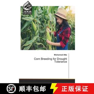 Corn Breeding for Tolerance 4周达 Drought 9786202353083