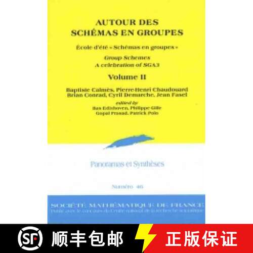 预订 AUTOUR DES SCHÉMAS EN GROUPES, École d'été « Schémas en groupes », Group Schemes, A celeb... [9782856298190]