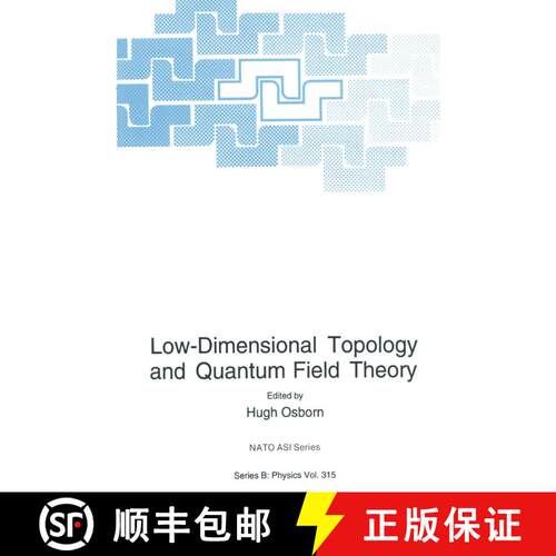 【3-4周达】Low-Dimensional Topology and Quantum Field Theory [9781489916143]
