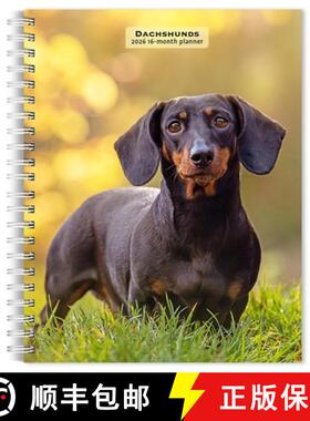 【3-4周达】Dachshunds 2026 6 X 7.75 Inch Spiral-Bound Wire-O Weekly Engagement Planner Calendar New F... [9798330703104]