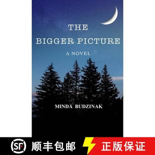 9780578441238 预订 Picture Bigger The