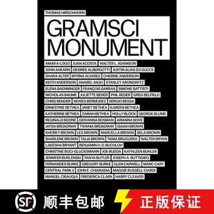 York 9783863356118 4周达 Foundation Art Dia New Hirschhorn Thomas
