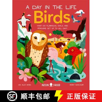 精装 Birds (A Day in the Life) : What Do Flamingos, Owls, and Penguins Get Up To All Day? [9781838992705]