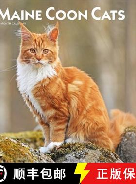 【3-4周达】Maine Coon Cats 2026 12 X 24 Inch (Hanging) Monthly Square Wall Calendar Plastic-Free [9798330704460]