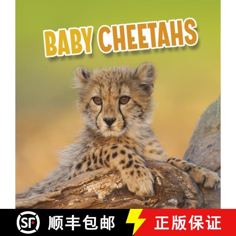 【2-3周达】Baby Cheetahs [9781398223820]