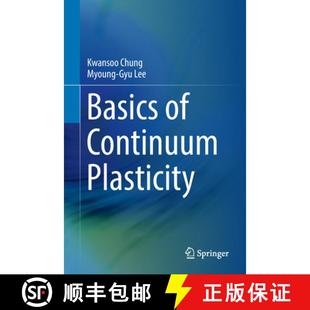Basics 4周达 Continuum 9789811083051 Plasticity
