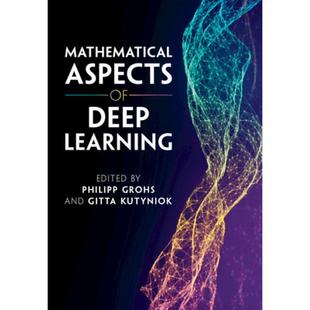 Aspects 9781316516782 现货 Deep 数学理解 深度学习 Mathematical Learning