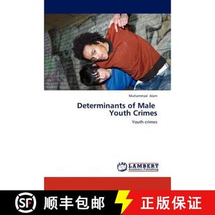 Male Youth Crimes 预订 9783659108273 Determinants