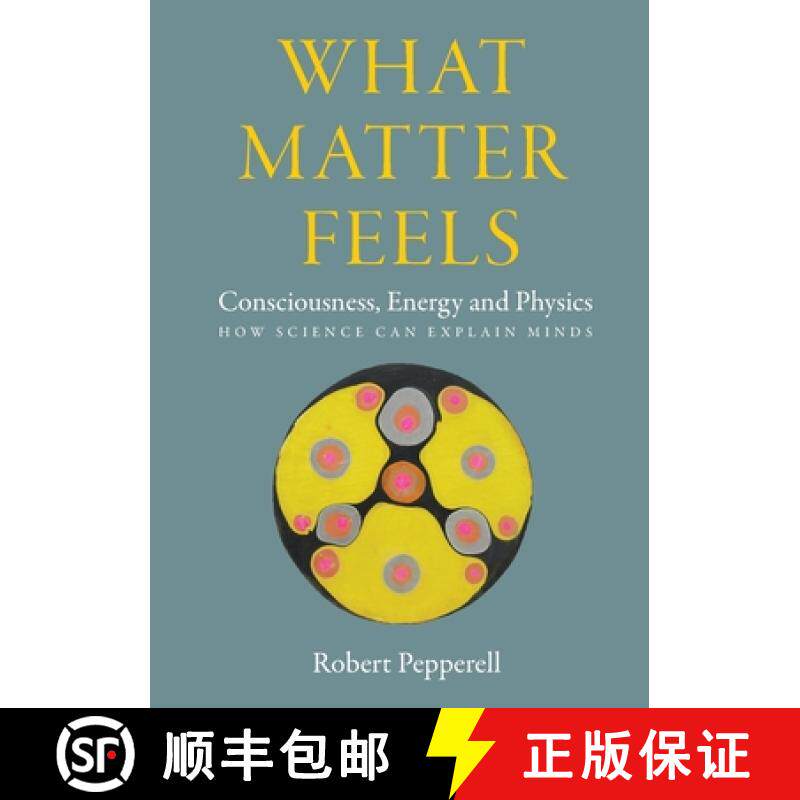 预订 What Matter Feels:  Consciousness, Energy and Physics (How Science can Explain Minds) [9781068523205]