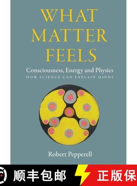 预订 What Matter Feels:  Consciousness, Energy and Physics (How Science can Explain Minds) [9781068523205]