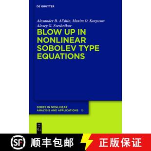Nonlinear 9783110255270 Blow Equations Type 预订 Sobolev