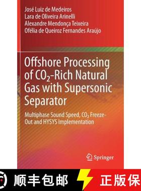 【3-4周达】Offshore Processing of CO2-Rich Natural Gas with Supersonic Separator : Multiphase Sound S... [9783030040055]