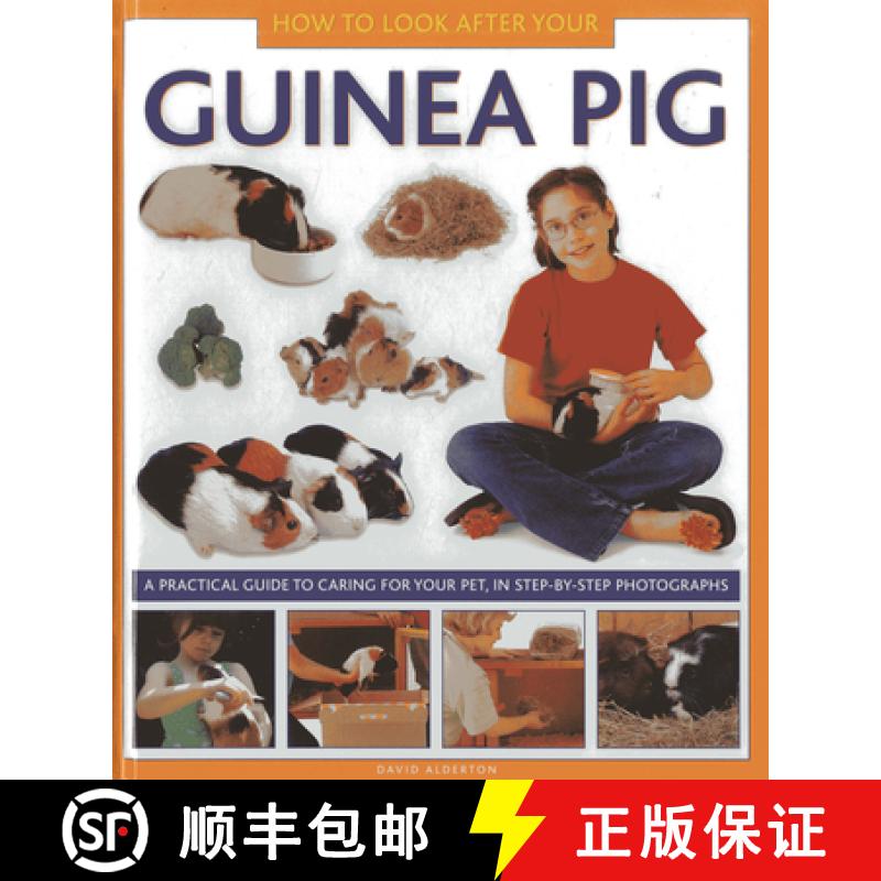 【2-3周达】How to Look After Your Guinea Pig: A Practical Guide to Caring for Your Pet, in Step-By-St... [9781843227687]