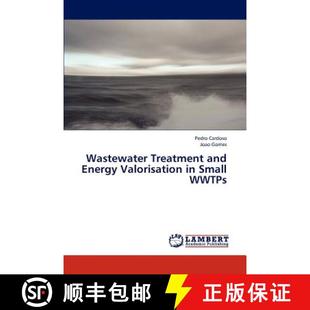 Treatment 9783844323931 Wwtps Small Valorisation Energy and Wastewater 预订