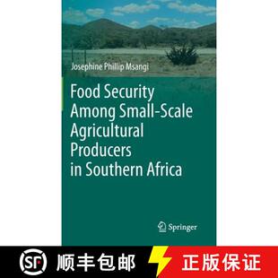 Food 9783319094946 Africa Agricultural 4周达 Producers Among Security Southern Small Scale