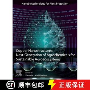 Next Agrochemicals Agroecosystems Copper Sustainable 4周达 9780128238332 Nanostructures for Generation