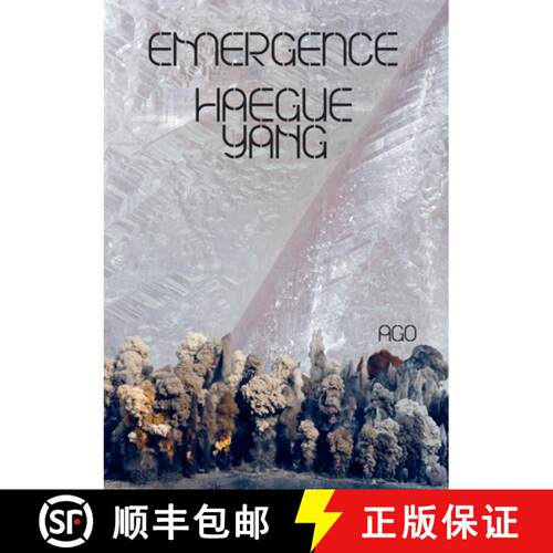 精装 Haegue Yang: Emergence [9783791359656]