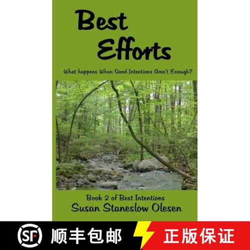【3-4周达】Best Efforts: What Happens When Good Intentions Aren't Enough? [9780615569376]