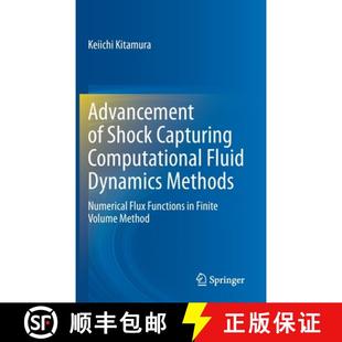 Numerical Capturing Shock Flux 9789811590108 Fluid Computational Methods Dynamics 4周达 Advancement Functio...