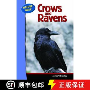 Ravens 4周达 and 9780791091159 Crows