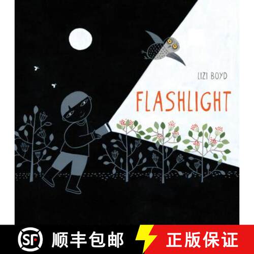 【3-4周达】精装 Flashlight: (Picture Books, Wordless Books for Kids, Camping Books for Kids, Bedtime ... [9781452118949]