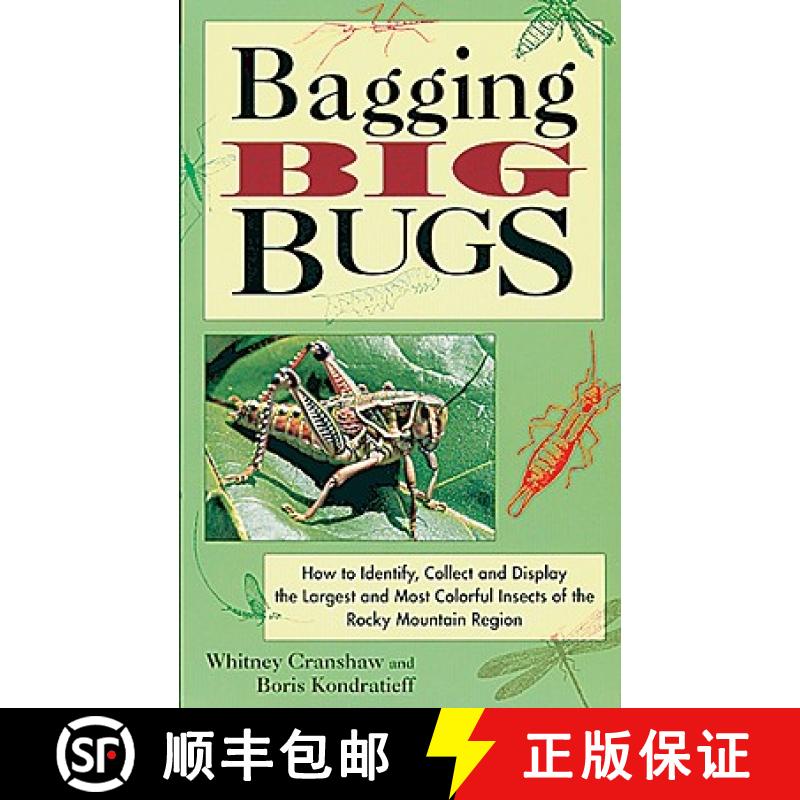 预订 Bagging Big Bugs: How to Identify, Collect, and Display the Largest and Most Colorful Insects of... [9781555911782]