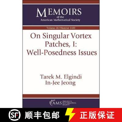 【3-4周达】On Singular Vortex Patches, I: Well-Posedness Issues [9781470456825]