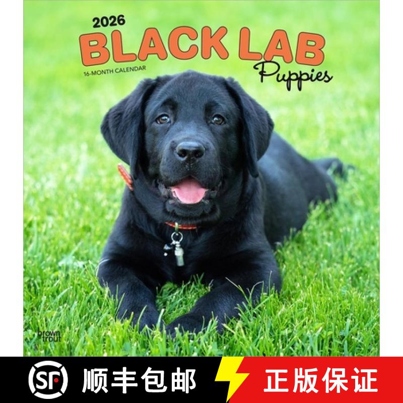 【2-3周达】Black Labrador Retriever Puppies 2026 12 X 24 Inch (Hanging) Monthly Square Wall Calendar ... [9798330704194]