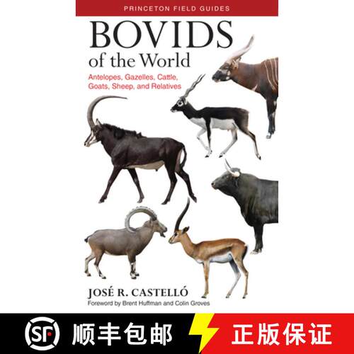 【3-4周达】Bovids of the World – Antelopes, Gazelles, Cattle, Goats, Sheep, and Relatives [9780691167176]