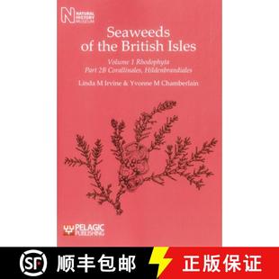 Isles the Rhodophyta th... Seaweeds Hildenbrandiales 4周达 9781907807107 Corallinales British