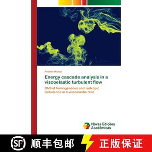viscoelastic cascade 9783330198531 flow turbulent analysis Energy 预订