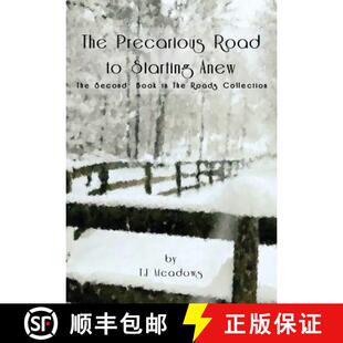 The Precarious Anew 9781949326055 Starting 4周达 Road