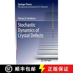 Stochastic Dynamics Defects 4周达 Crystal 9783319373850