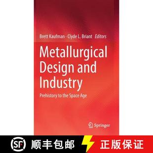 Prehistory and Age Metallurgical Space 4周达 9783319937540 Design the Industry