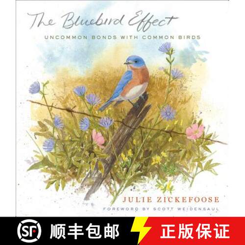 预订 精装 The Bluebird Effect: Uncommon Bonds with Common Birds [9780547003092]