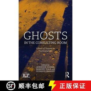 Room the Echoes Psychoanalysis Ghosts Trauma 4周达 9780415728652 Consulting
