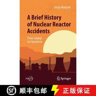 Brief Nuclear 9783031104992 Leipzig History 4周达 Accidents Reactor Fukushima From