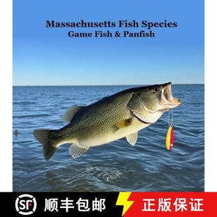 【3-4周达】Massachusetts Game Fish and Panfish Species Kids Book: Great Book About the Different Type... [9781968228583]