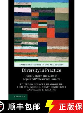 【3-4周达】Diversity in Practice: Race, Gender, and Class in Legal and Professional Careers - Diversi... [9781107123656]