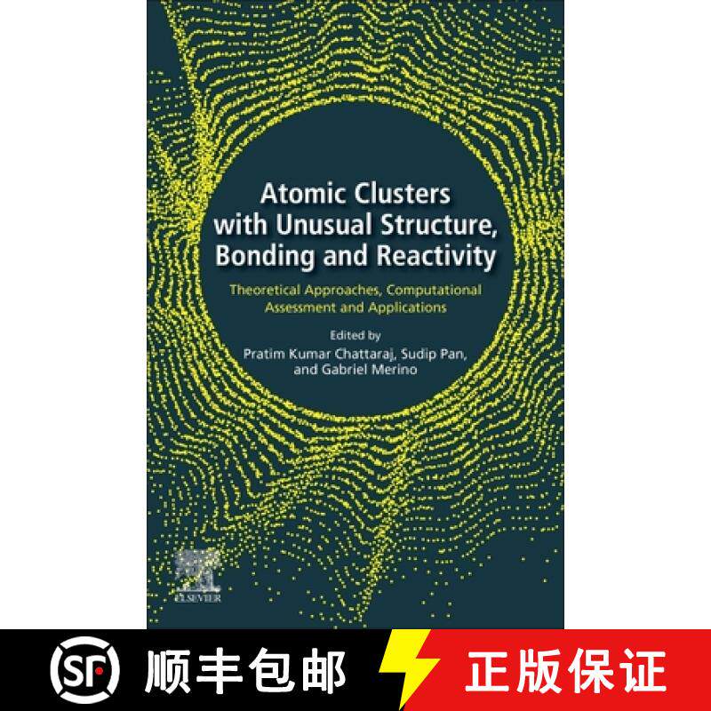 【3-4周达】Atomic Clusters with Unusual Structure, Bonding and Reactivity: Theoretical Approaches, Co... [9780128229439]