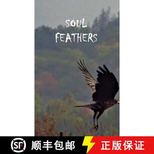 Feathers Soul 3周达 9789357617994