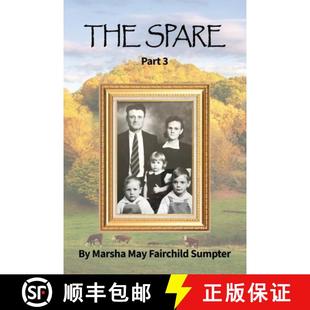 The 3周达 Spare Part 9798893303124