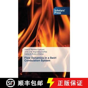 9783639861235 Flow System Dynamics Combustion 预订 Swirl