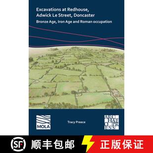 Adwick and Redhouse Excavations Roman Iron Street Occup... Bronze Age 3周达 9781803276885 Doncaster