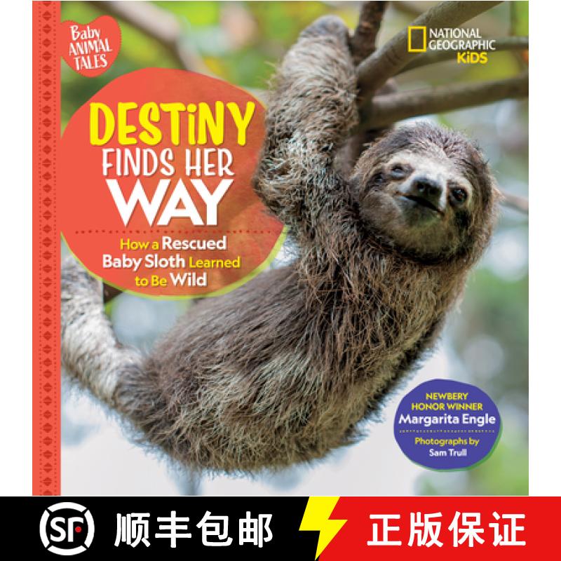 【3-4周达】Destiny Finds Her Way: How a Rescued Baby Sloth Learned to Be Wild [9781426372353]
