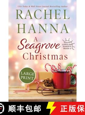 【3-4周达】A Seagrove Christmas [9781953334152]
