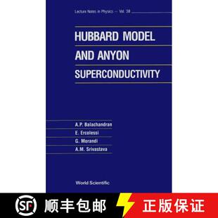 Hubbard Model The 9789810203481 Superconductivity 4周达 Anyon And